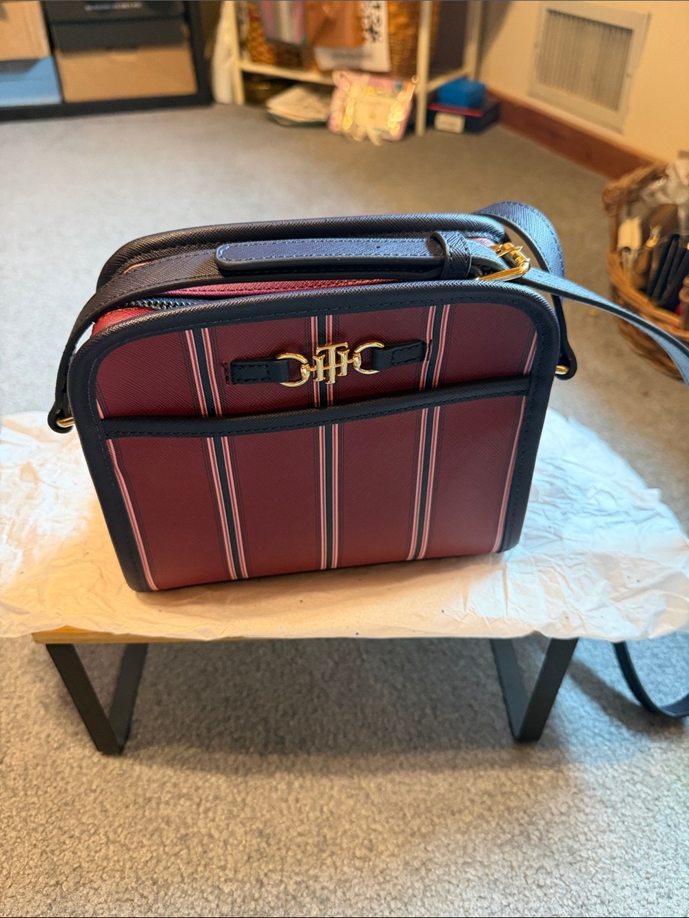 Striped Crossbody Camera Bag with Gold Accent